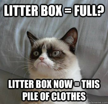 litter box = full? litter box now = this pile of clothes  Grumpy Cat