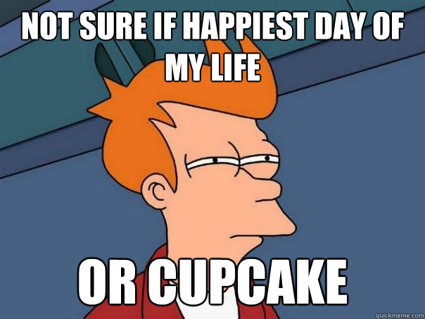 Not sure if happiest day of my life Or Cupcake - Not sure if happiest day of my life Or Cupcake  Futurama Fry