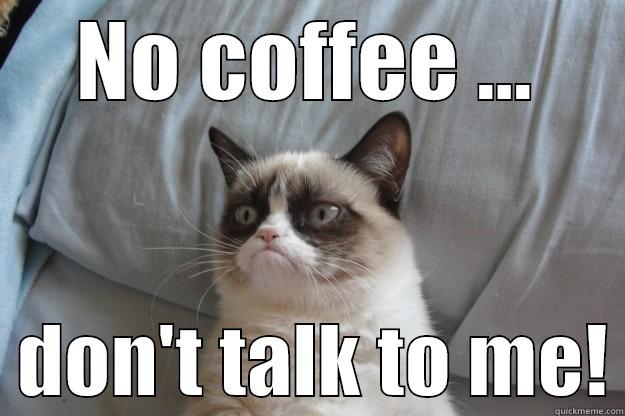 NO COFFEE ...   DON'T TALK TO ME! Grumpy Cat