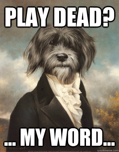 Play dead? ... My word... - Play dead? ... My word...  Lavish pup