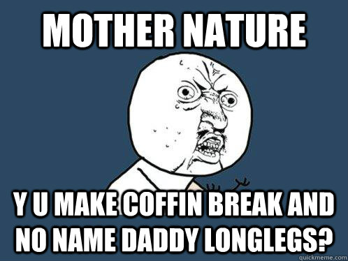 MOTHER NATURE y u make coffin break and no name daddy longlegs?  Y U No