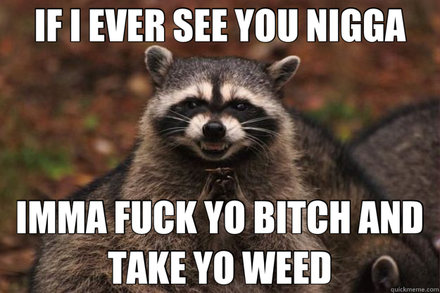 IF I EVER SEE YOU NIGGA IMMA FUCK YO BITCH AND TAKE YO WEED - IF I EVER SEE YOU NIGGA IMMA FUCK YO BITCH AND TAKE YO WEED  Evil Plotting Raccoon