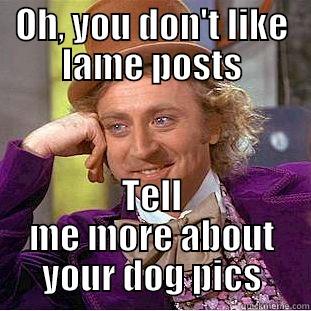 OH, YOU DON'T LIKE LAME POSTS TELL ME MORE ABOUT YOUR DOG PICS Condescending Wonka