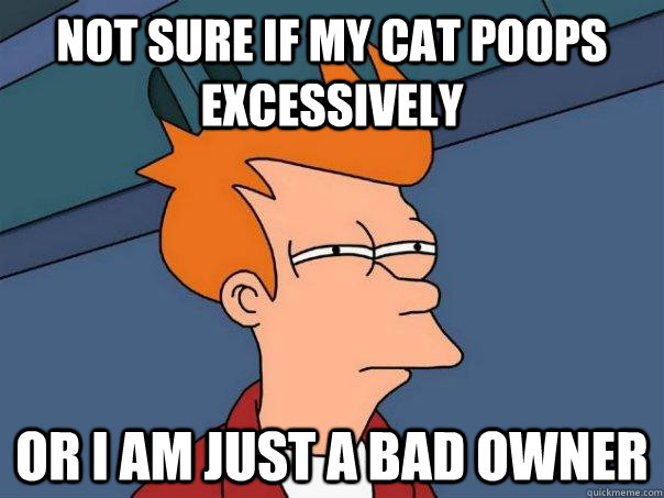 Not sure if my cat poops excessively Or I am just a bad owner  Futurama Fry