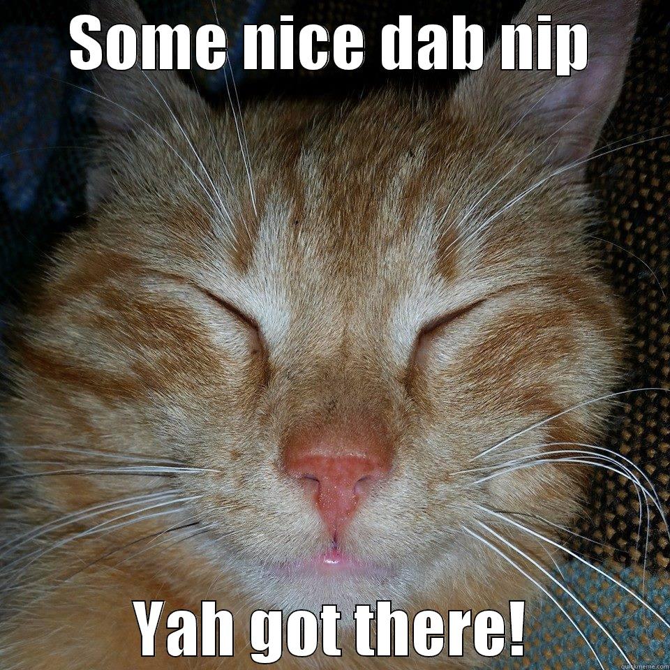 SOME NICE DAB NIP YAH GOT THERE! Misc