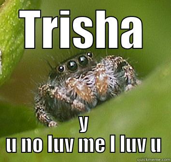 TRISHA Y U NO LUV ME I LUV U Misunderstood Spider