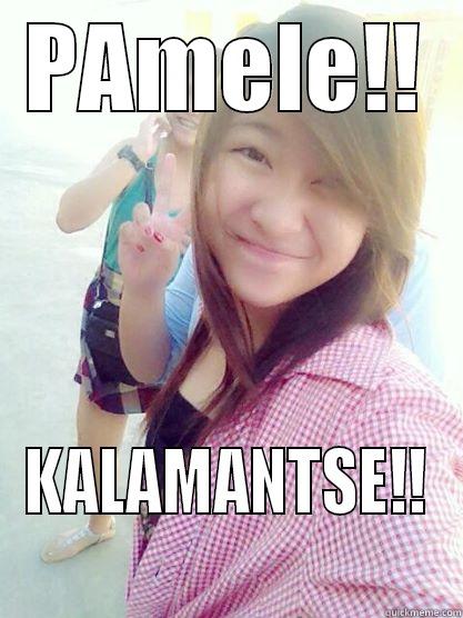 PAMELE!! KALAMANTSE!! Misc