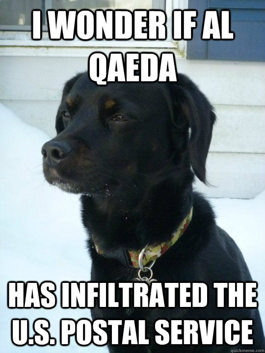 I wonder if Al Qaeda Has infiltrated the U.S. postal service  Philosophical Puppy