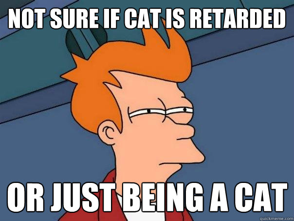 Not sure if cat is retarded or just being a cat  Futurama Fry