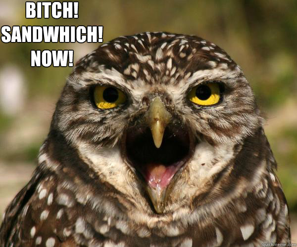 Bitch! 
Sandwhich! 
Now!  hungry owl