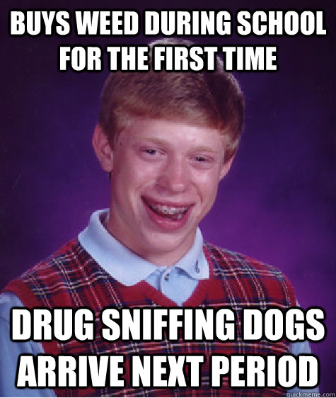 Buys weed during school for the first time Drug sniffing dogs arrive next period  Bad Luck Brian