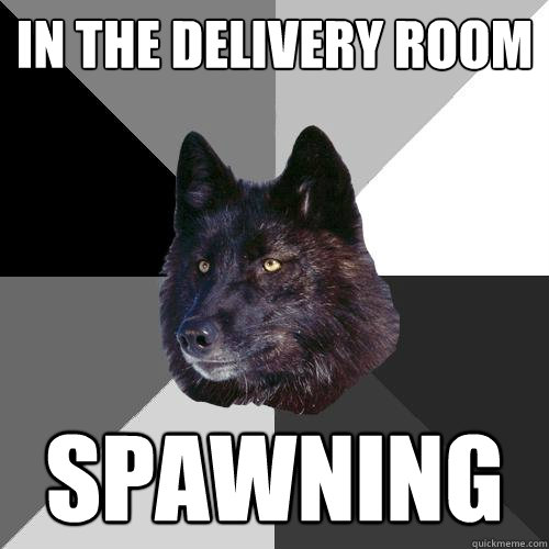 In the delivery room spawning  Sanity Wolf