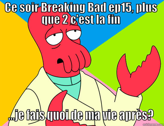 CE SOIR BREAKING BAD EP15, PLUS QUE 2 C'EST LA FIN ...JE FAIS QUOI DE MA VIE APRÈS? Futurama Zoidberg 