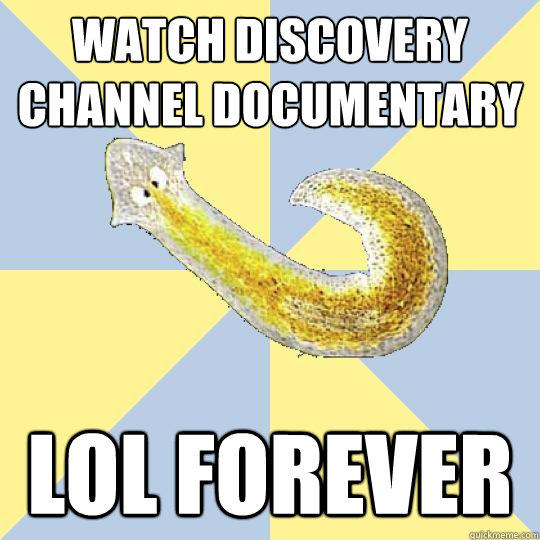 watch discovery channel documentary lol forever  Bio Major Planarian