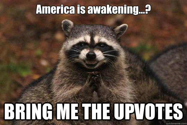 America is awakening...? BRING ME THE UPVOTES   Evil Plotting Raccoon