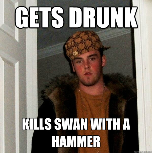 Gets Drunk Kills swan with a hammer - Gets Drunk Kills swan with a hammer  Scumbag Steve