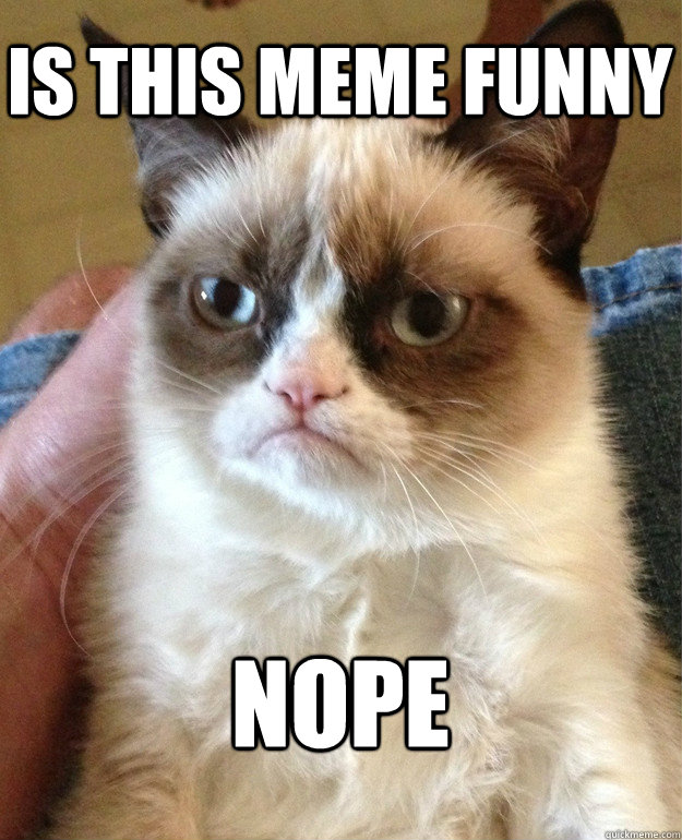 Is this meme funny nope  Grumpy Cat