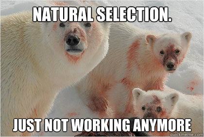 Natural Selection. Just not working anymore  Bad News Bears