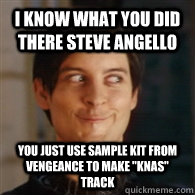 I know what you did there Steve Angello You just use sample kit from vengeance to make 