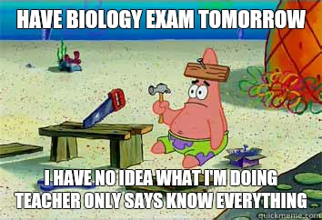 Have biology exam tomorrow  I have no idea what i'm doing teacher only says know everything  - Have biology exam tomorrow  I have no idea what i'm doing teacher only says know everything   I have no idea what Im doing - Patrick Star