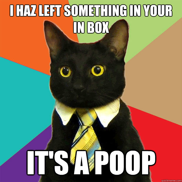 I haz left something in your in box It's a poop  Business Cat