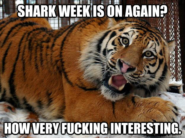 Shark week is on again? How very fucking interesting.  Fascinated Tiger