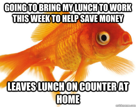 going to bring my lunch to work this week to help save money leaves lunch on counter at home  Forgetful Fish