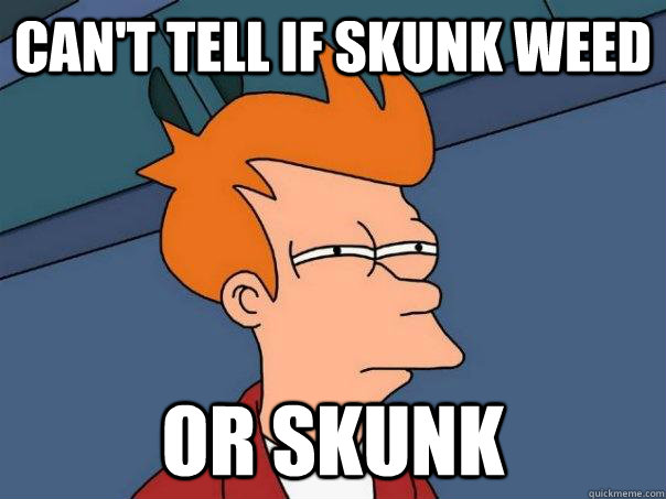 Can't tell if skunk weed or Skunk  Futurama Fry