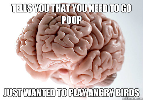 Tells you that you need to go poop Just wanted to play angry birds  Scumbag Brain