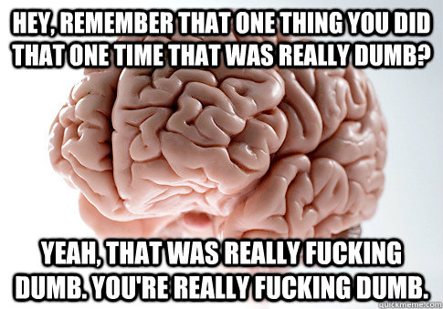 Hey, remember that one thing you did that one time that was really dumb? Yeah, that was really fucking dumb. You're really fucking dumb.  Scumbag Brain