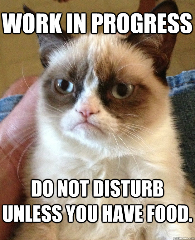 Work in progress Do not disturb unless you have food.  Grumpy Cat