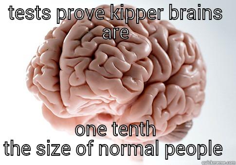 kipper brain - TESTS PROVE KIPPER BRAINS ARE ONE TENTH THE SIZE OF NORMAL PEOPLE  Scumbag Brain