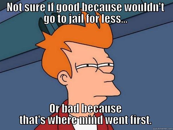 NOT SURE IF GOOD BECAUSE WOULDN'T GO TO JAIL FOR LESS... OR BAD BECAUSE THAT'S WHERE MIND WENT FIRST. Futurama Fry