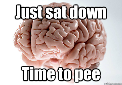 Just sat down Time to pee  Scumbag Brain