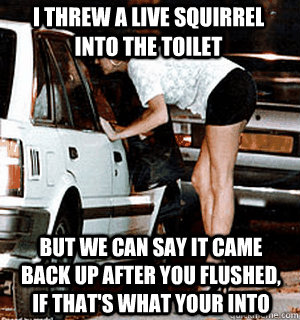 I threw a live squirrel into the toilet But we can say it came back up after you flushed, if that's what your into  Karma Whore