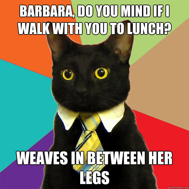 Barbara, do you mind if I walk with you to lunch? weaves in between her legs  Business Cat