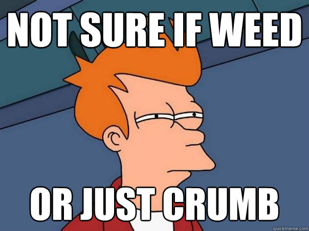 not sure if weed Or just crumb  Futurama Fry