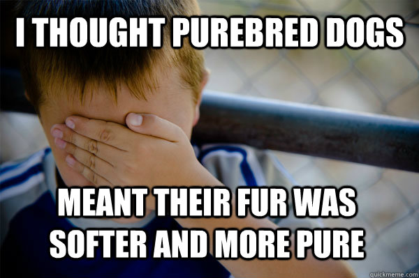 I thought purebred dogs meant their fur was softer and more pure  Confession kid