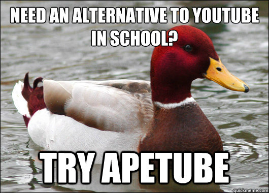 Need an alternative to Youtube in school?
 Try apetube  Malicious Advice Mallard