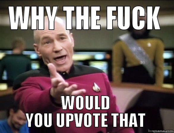 WHY THE FUCK WOULD YOU UPVOTE THAT Annoyed Picard HD