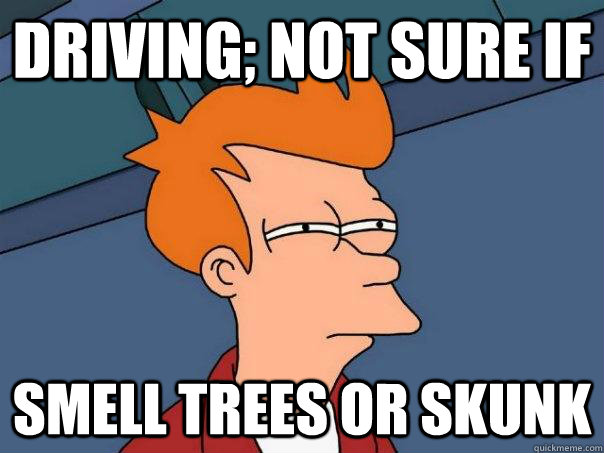 driving; not sure if smell trees or skunk  Futurama Fry