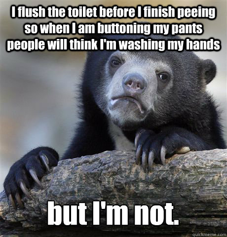 I flush the toilet before I finish peeing so when I am buttoning my pants people will think I'm washing my hands but I'm not.  Confession Bear