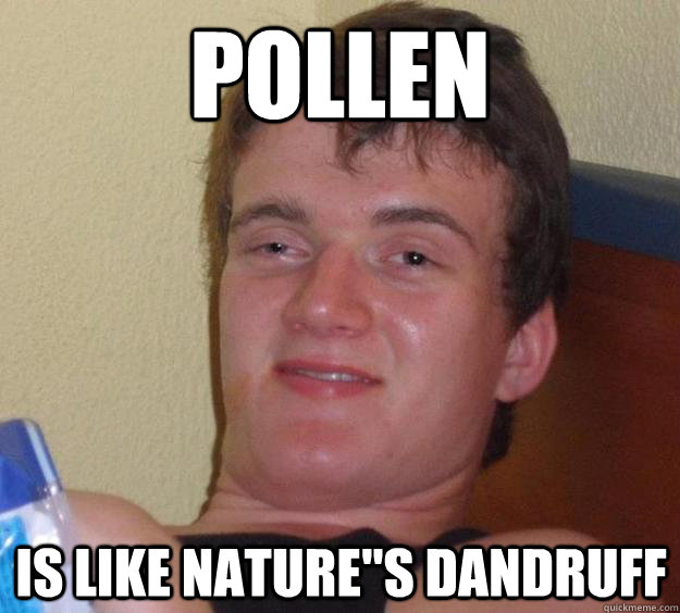 Pollen is like nature