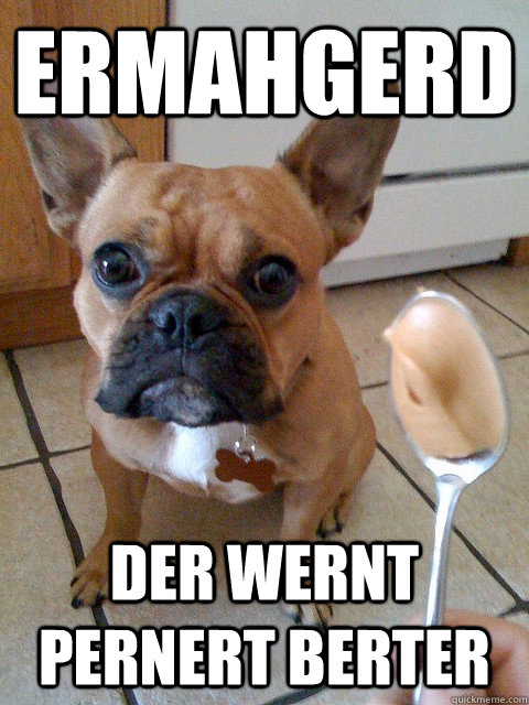 ERMAHGERD DER WERNT PERNERT BERTER - ERMAHGERD DER WERNT PERNERT BERTER  ERMAHGERD