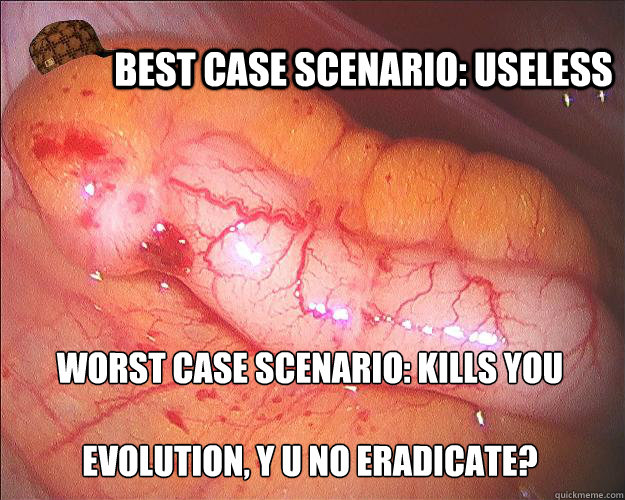 Best case scenario: useless worst case scenario: kills you

evolution, y u no eradicate?  