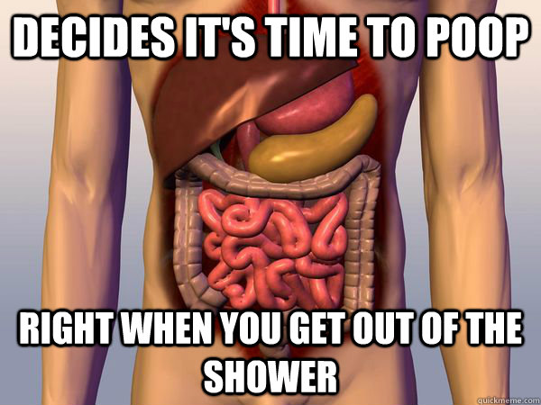 Decides it's time to poop Right When you get out of the shower  Scumbag Digestive System