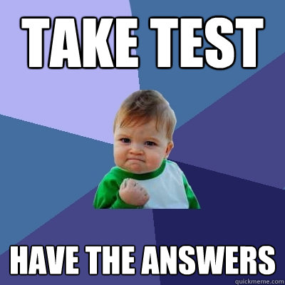 Take test HAVE THE ANSWERS  Success Kid