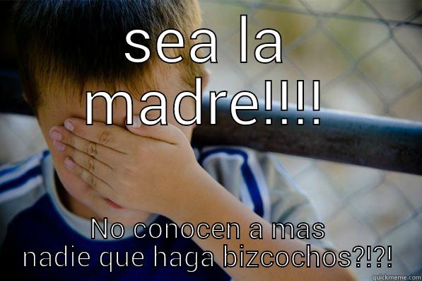 SEA LA MADRE!!!! NO CONOCEN A MAS NADIE QUE HAGA BIZCOCHOS?!?! Confession kid