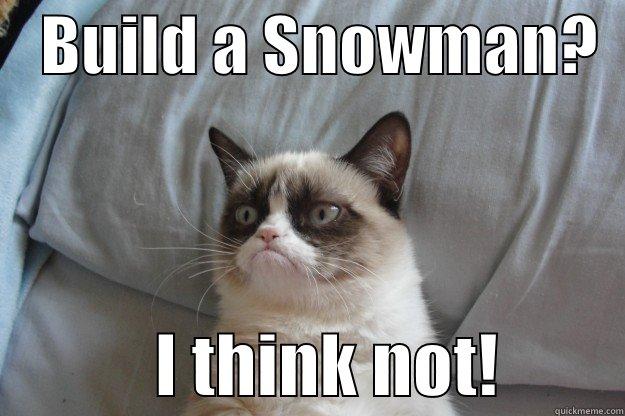    BUILD A SNOWMAN?               I THINK NOT!         Grumpy Cat