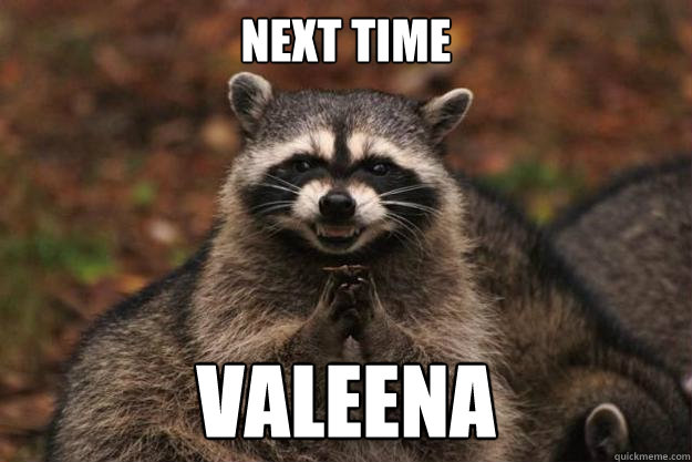 next time valeena  Evil Plotting Raccoon